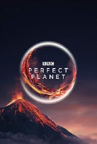 A Perfect Planet